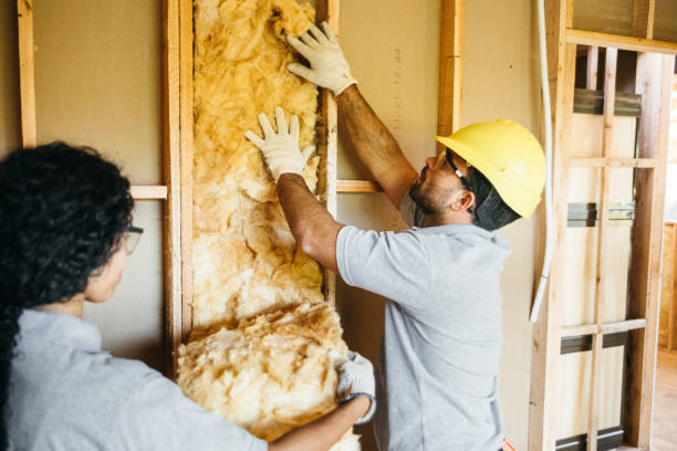 Best Spray Foam Insulation  in Pacific, MO